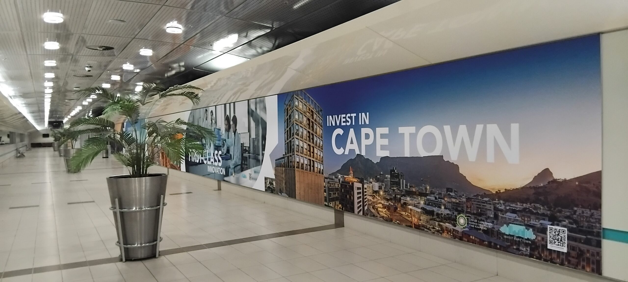 Voyage en Afrique du sud en 2025